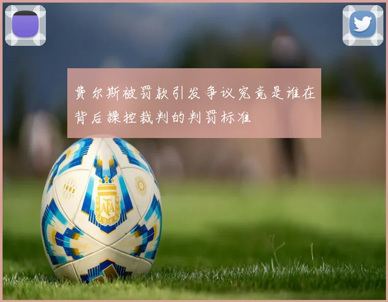 费尔斯被罚款引发争议究竟是谁在背后操控裁判的判罚标准