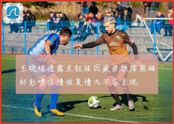 王晓瑞透露王钰栋因疲劳缺席熊猫杯彭啸伤情恢复情况不容乐观