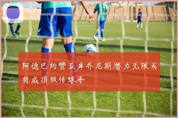 阿德巴约赞亚库乔尼斯潜力无限或将成顶级传球手