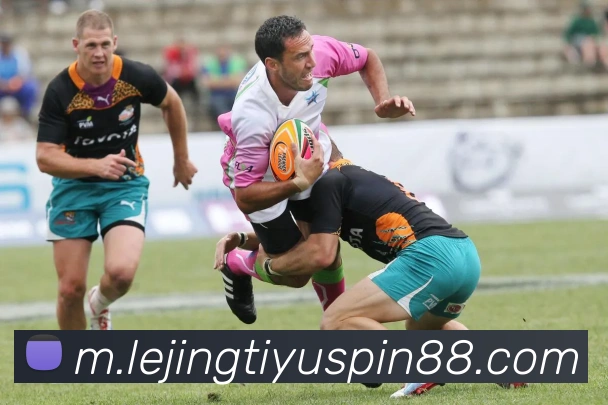 乐竟体育发展历程